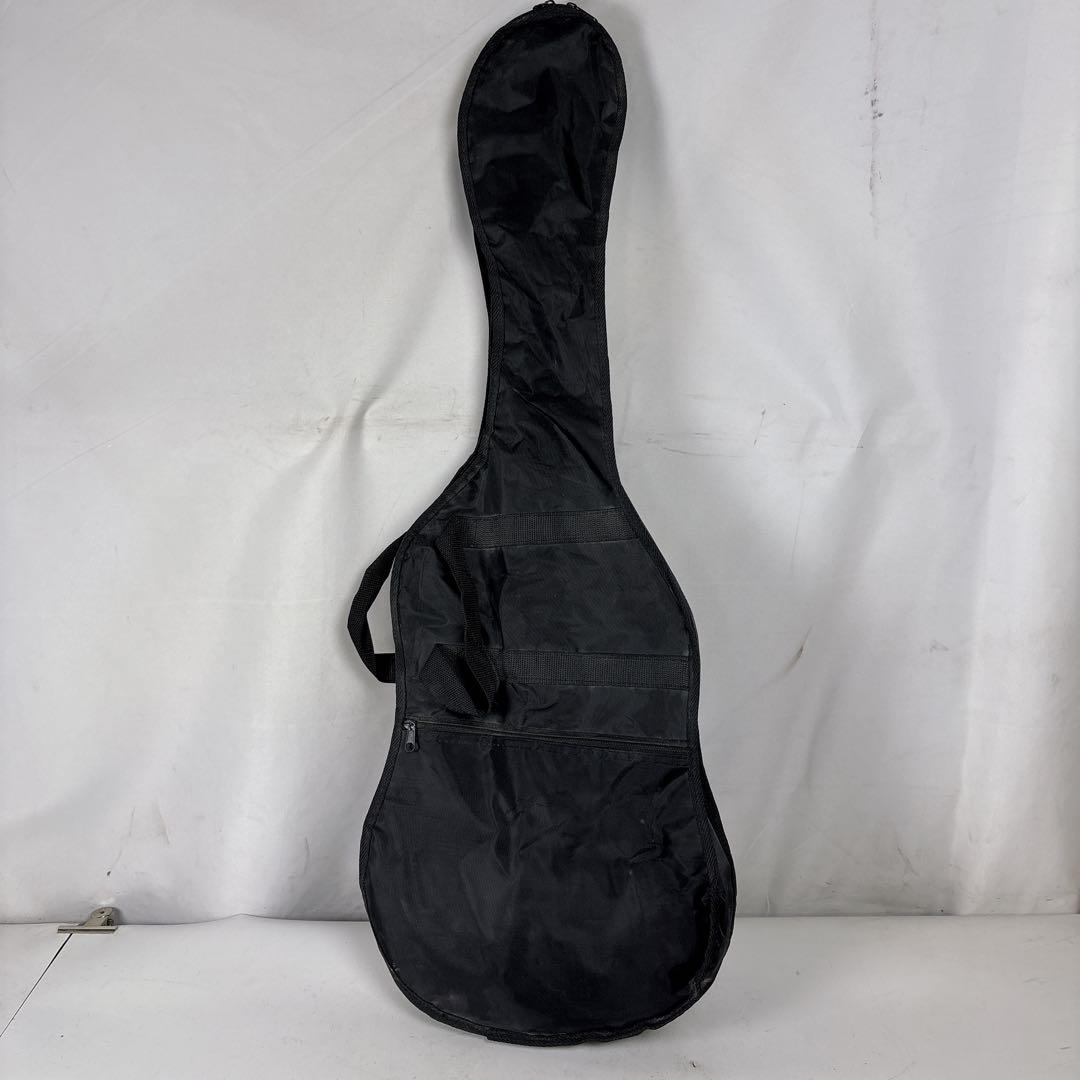 SELDER セルダー エレキギター ストラトキャスタータイプ ソフトケース付き