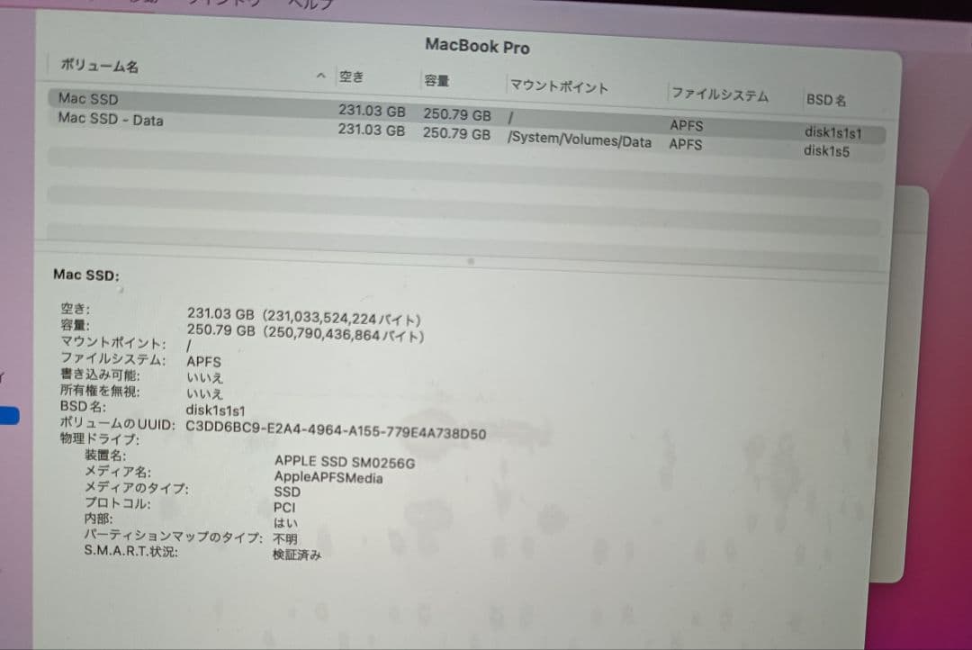 MacBook本体 MacBook Pro (Early 2015)