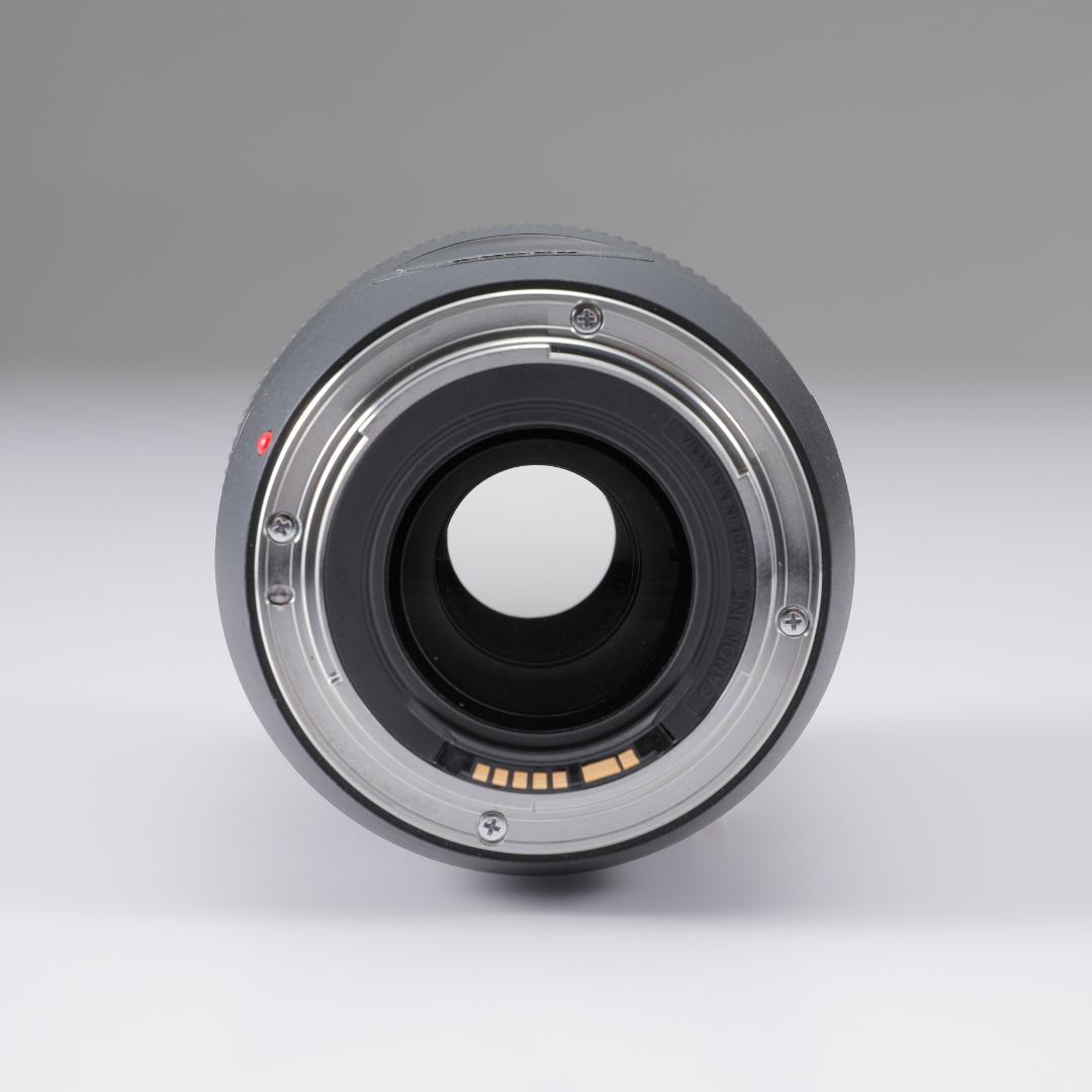 Canon キヤノン EF70-300mm F4-5.6 IS II USM