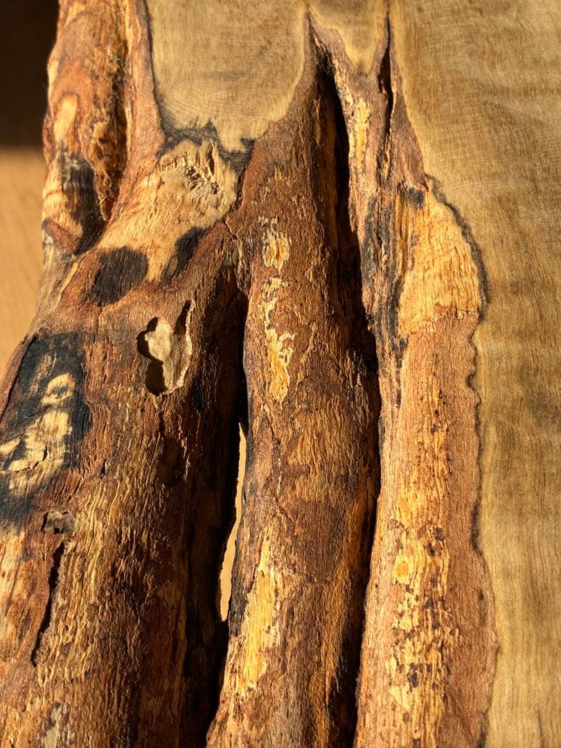 【希少】国産 黒柿（くろがき）無垢一枚板 サイドテーブル（訳あり）