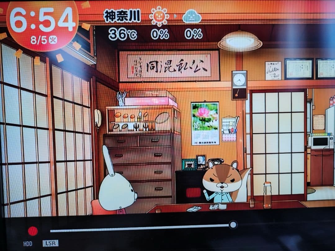 SONY ブルーレイレコーダーBDZ-ZW550