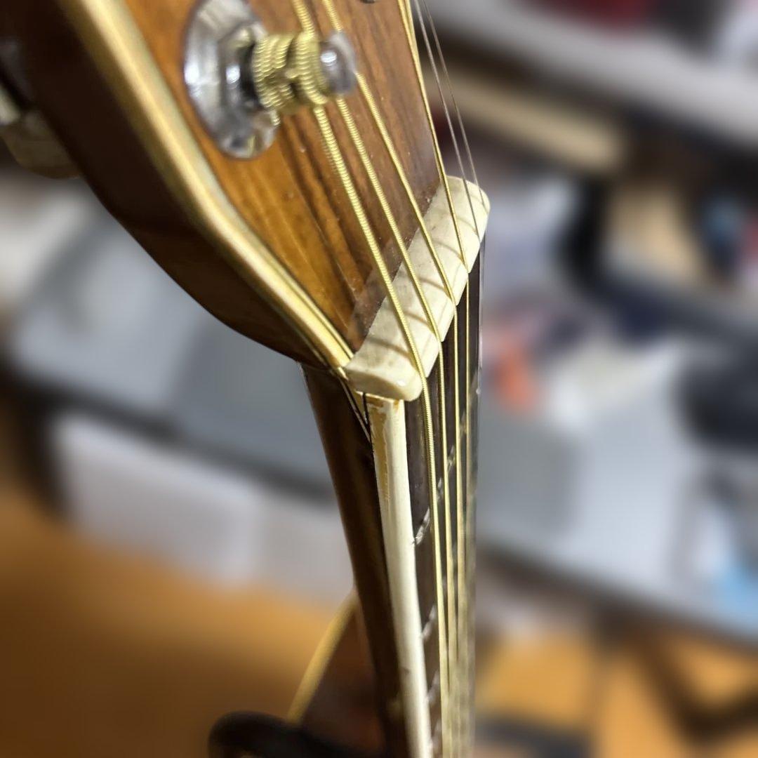 MORRISスペシャルW-50 ジャパンビンテージ