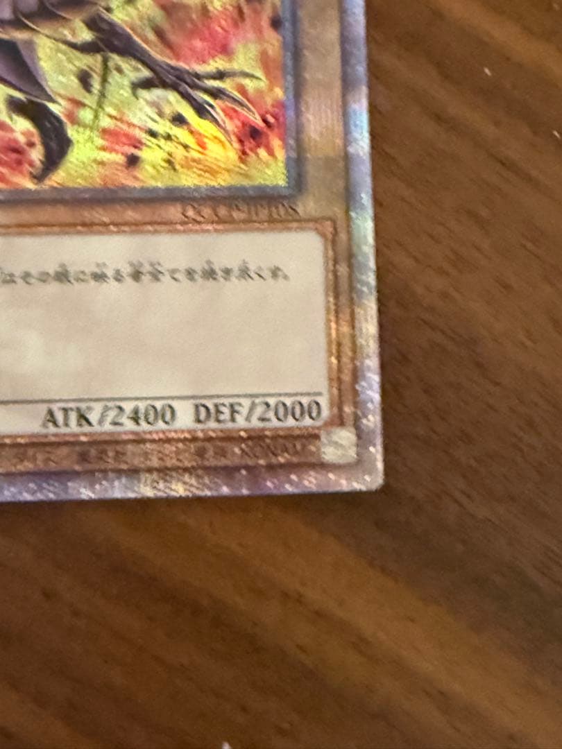 真紅眼の黒竜　レッドアイズブラックドラゴン　25th絵違い