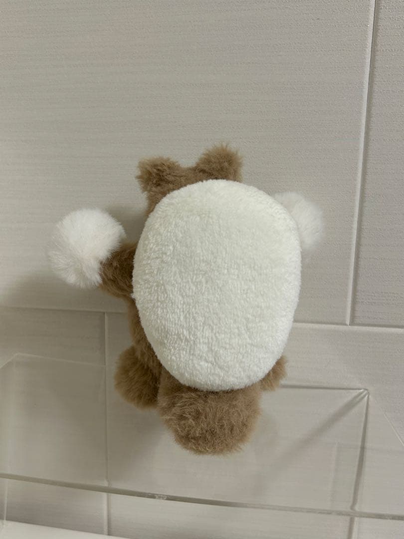 信楽焼のたぬき　空想アパートメント　カネヒラ