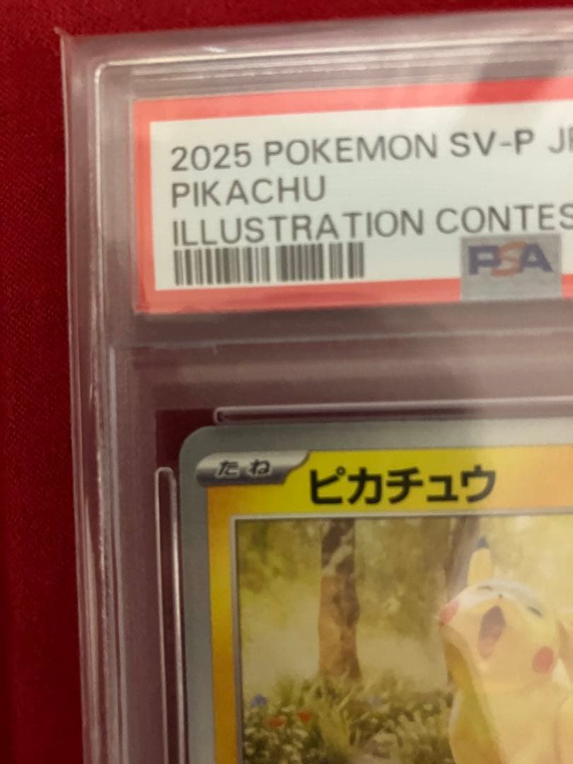 2025年 ピカチュウ イラストコンテスト2024 PSA10 美品