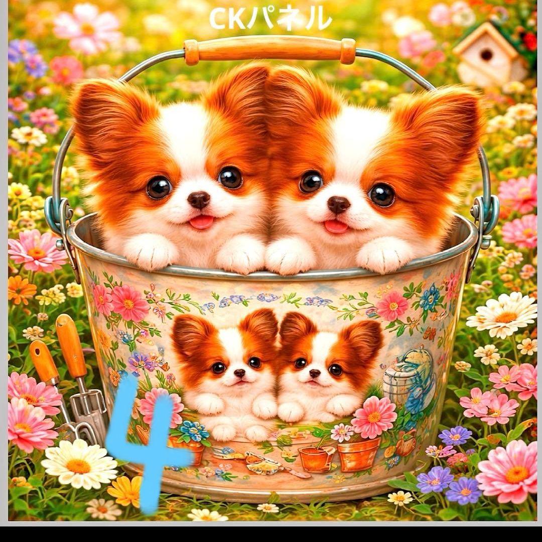 ハンドメイドオーダー受け付け(パピヨン)