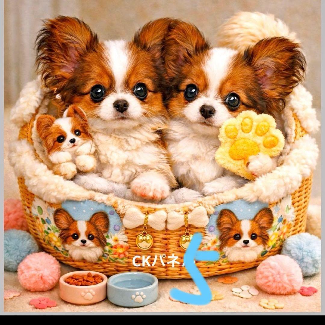 ハンドメイドオーダー受け付け(パピヨン)