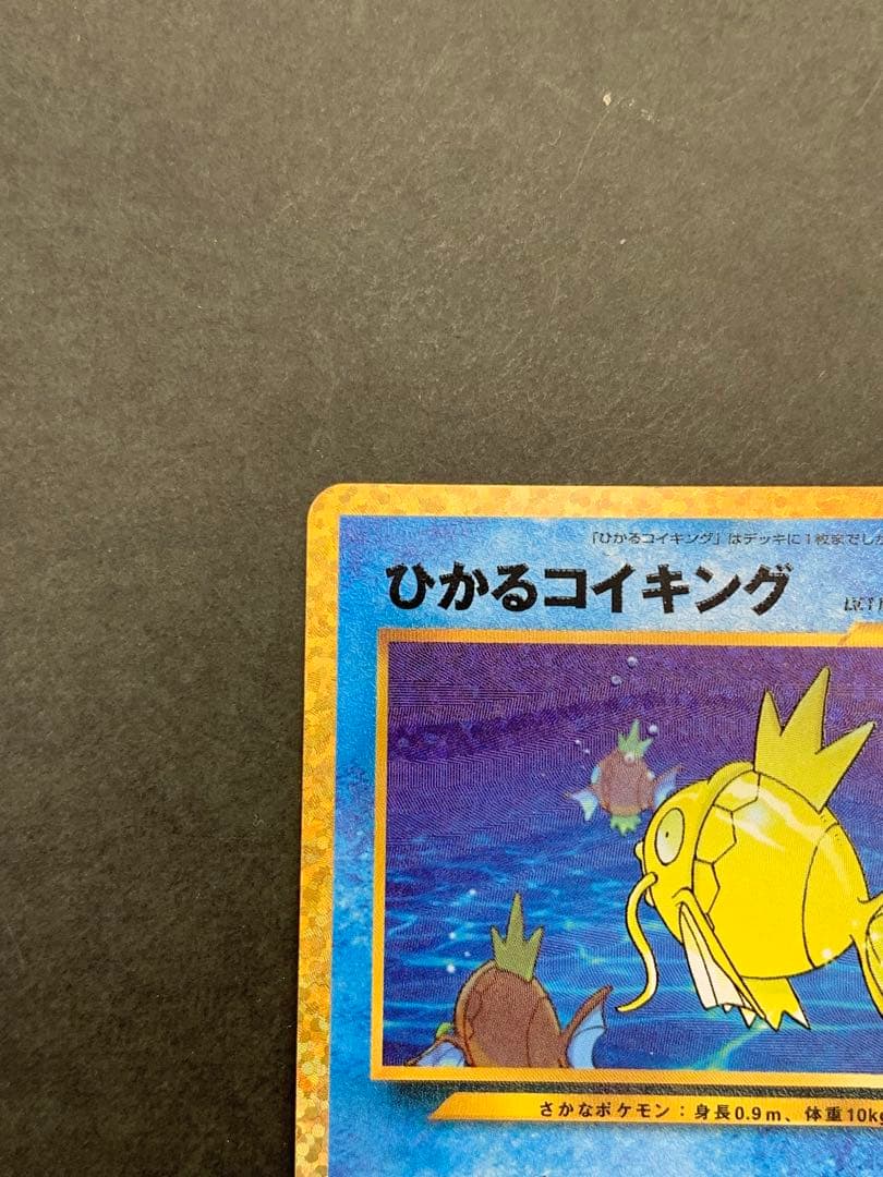 ひかるコイキング 25th Anniversary