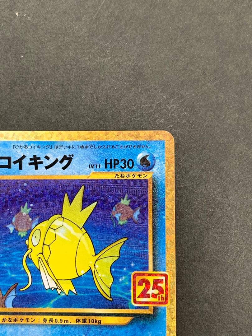 ひかるコイキング 25th Anniversary