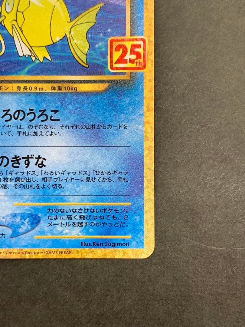 ひかるコイキング 25th Anniversary