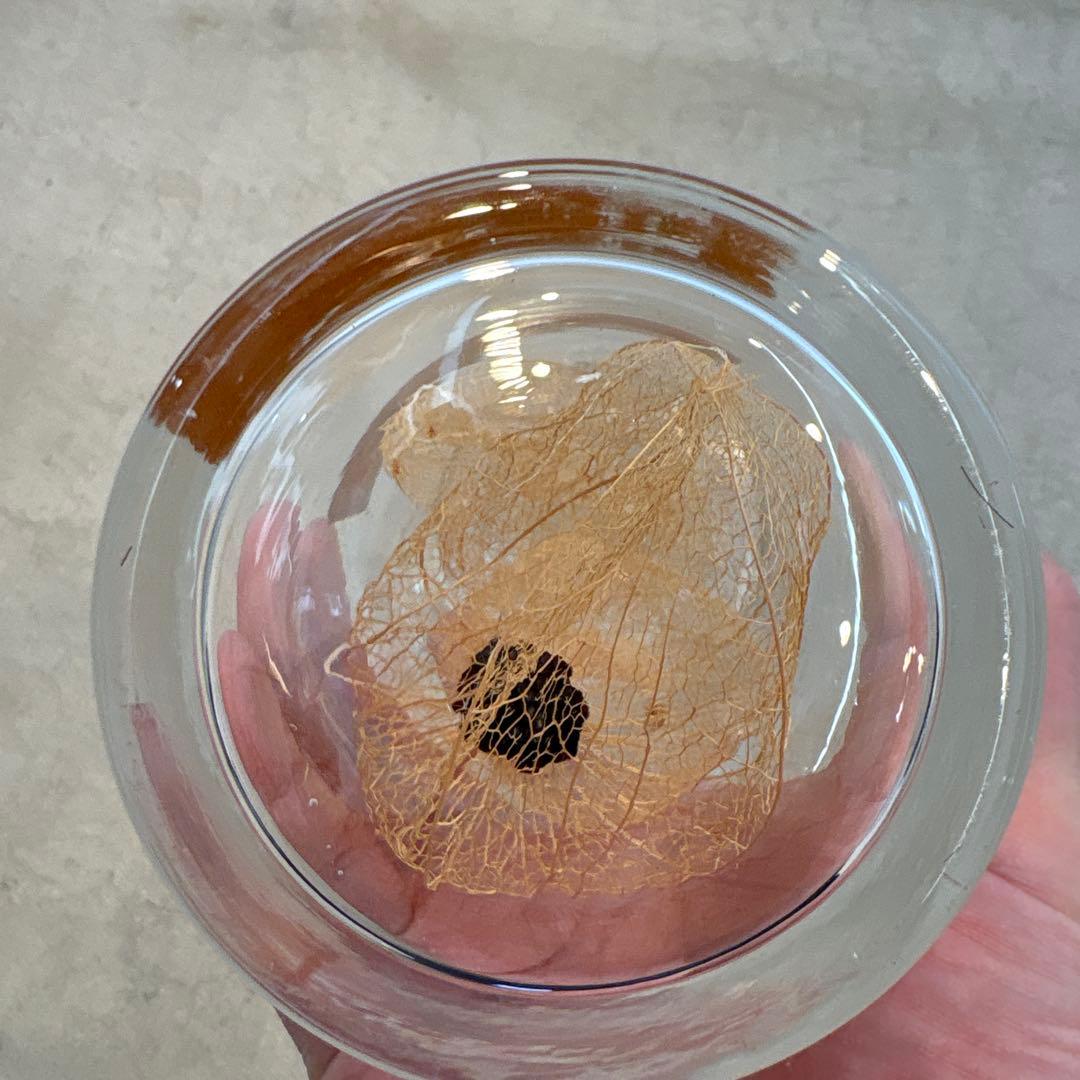 herbarium exceptionalibus ハーバリウム ②