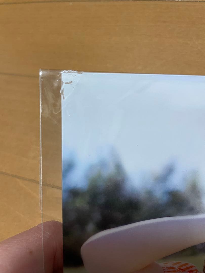 FRUITS ZIPPER 鎮西寿々歌　直筆サイン入りトレカ、生写真他グッズ一式