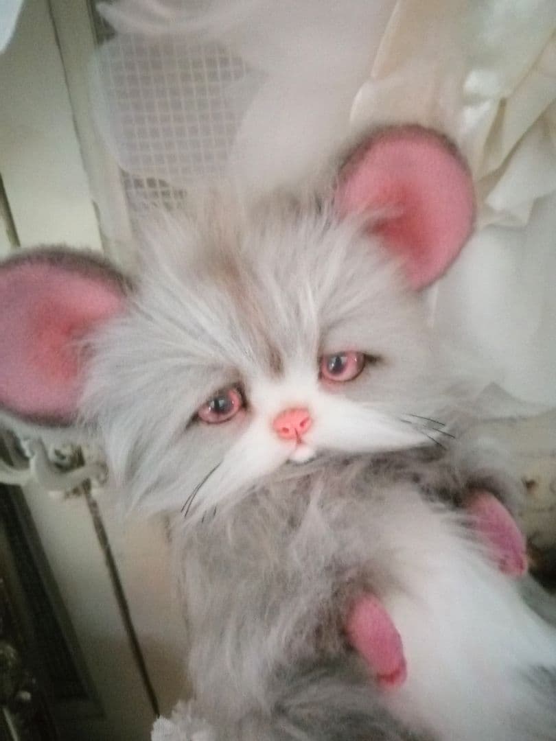 ちま様❤️オーダー♡ネズミちゃん♡アートドール♡ぬいぐるみ♡