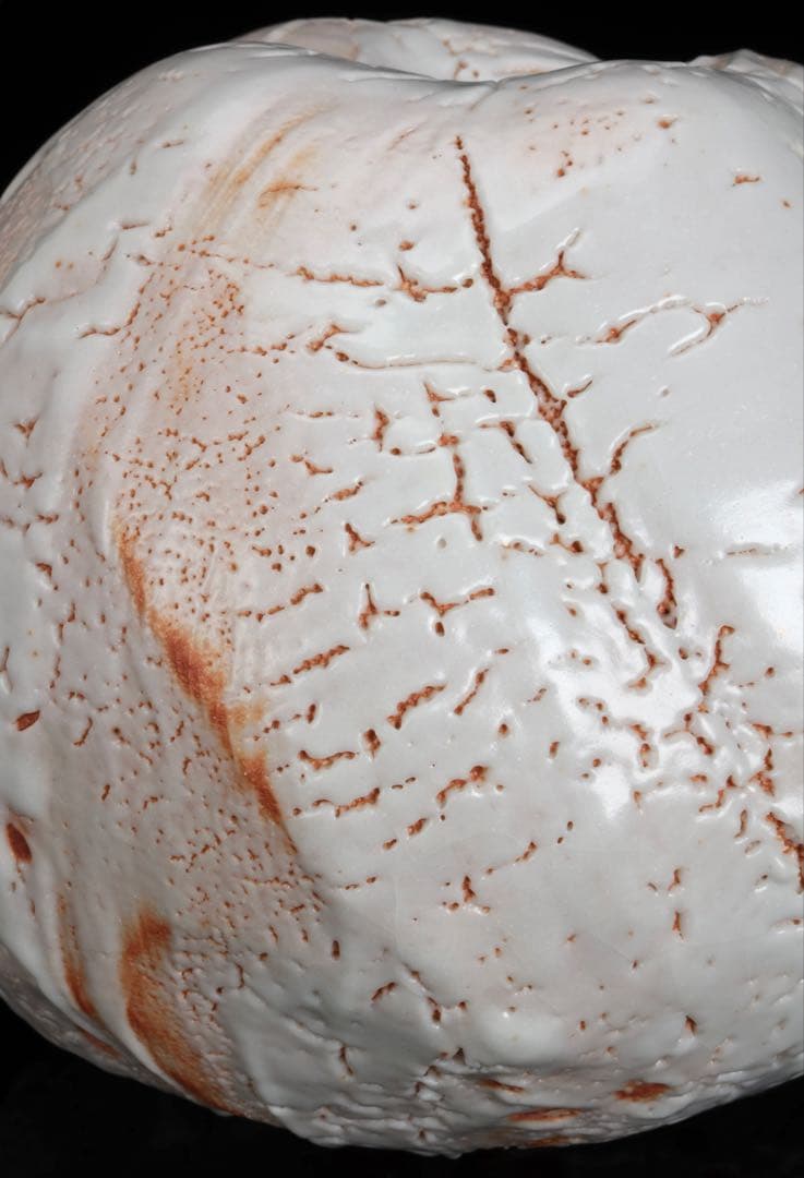 林正太郎 志野壺 共箱 栞付 高さ25㎝ 美濃焼 現代陶芸 花器 飾壺 日本美術