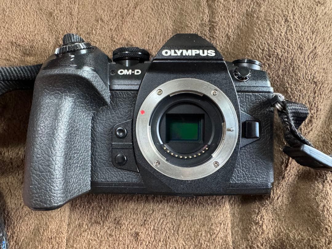 OLYMPUS OM-D E-M1 MarkⅡ オリンパス　ブラック
