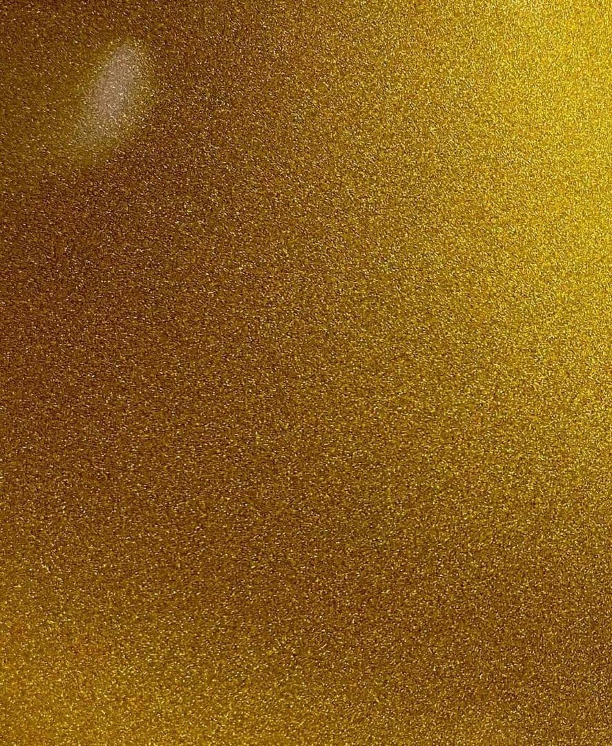 ギター Epiphone GoldTop mod Tak Grover&GOTOH