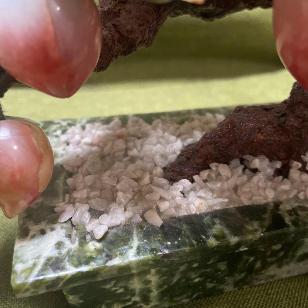 玉石 翡翠 アンティーク 桃の木 盆栽 中国工藝 中国土産 翡翠桃 中国美術