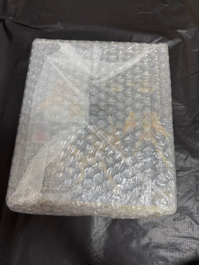 未開封A109 聖闘士聖衣神話EX サジタリアスアイオロス（リバイバル版）