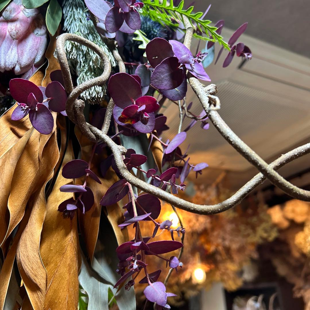 プロテアとパープルユーカリの吊り下げスワッグ