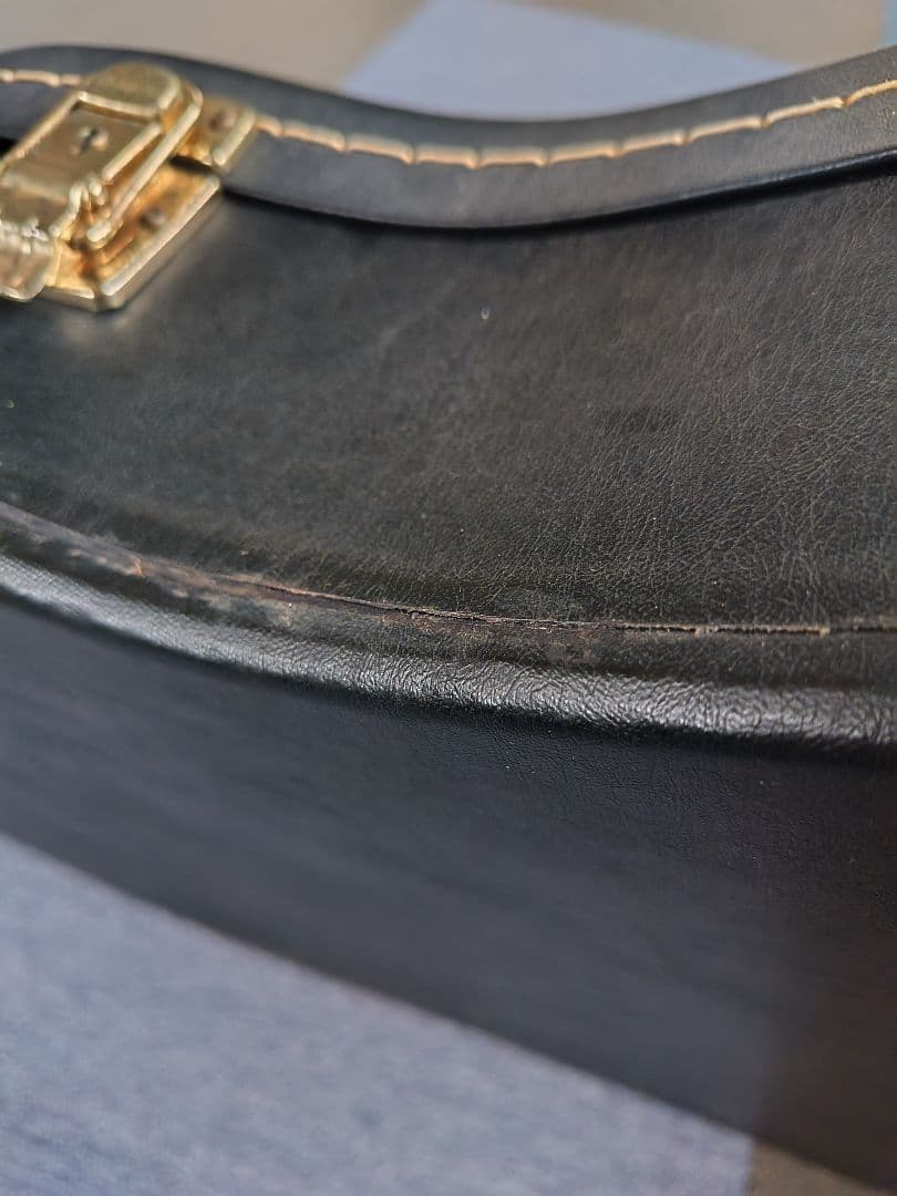 YAMAHA APX専用 純正ハードケース