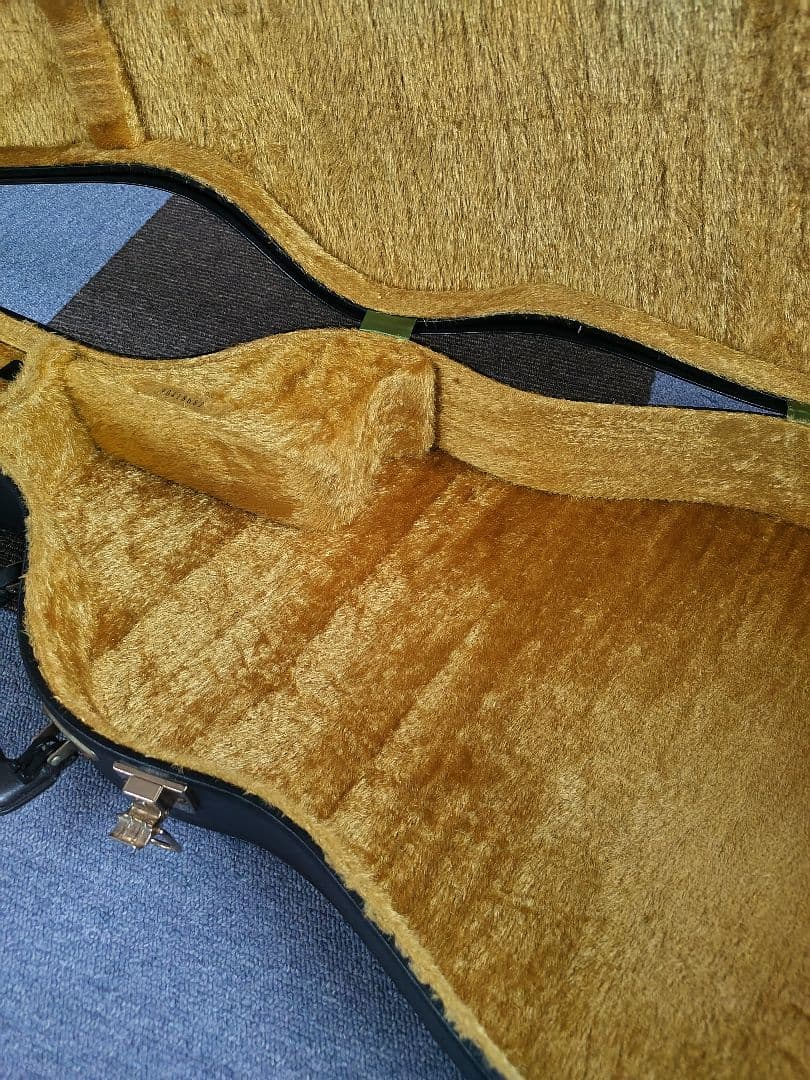 YAMAHA APX専用 純正ハードケース