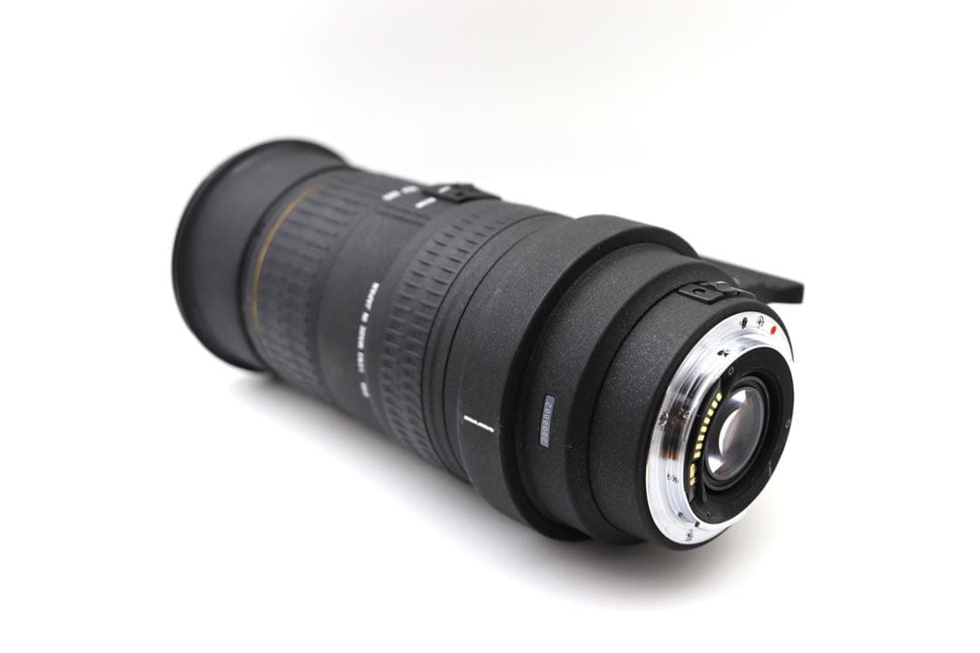 【SIGMA】APO EX 50-500mm F4-6.3 HSM Canon用