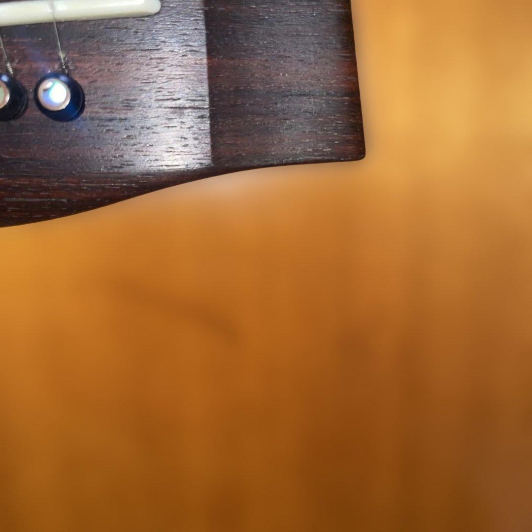 希少　爆低音　FG-360 J ブラックラベル エレアコ仕様　グローバーニッケル