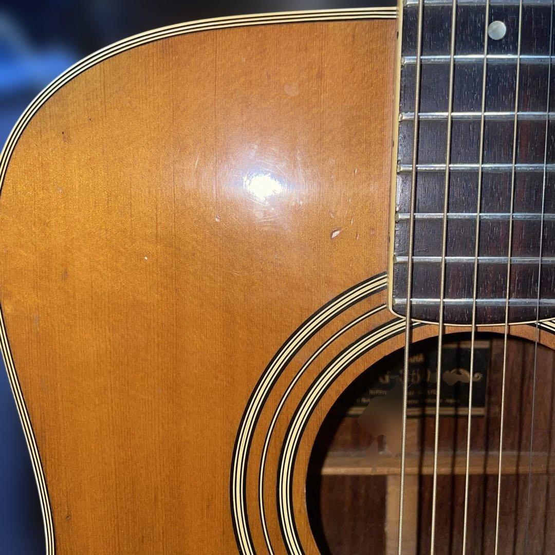 希少　爆低音　FG-360 J ブラックラベル エレアコ仕様　グローバーニッケル