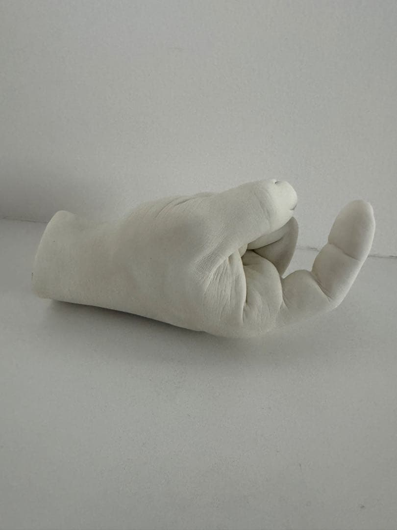 置物 Harry Allen Reality Hand Hook