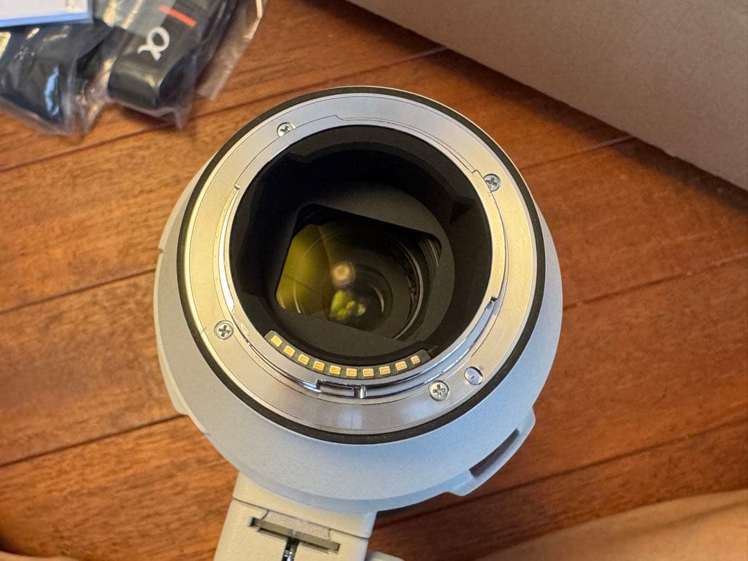 SONY FE 200-600mm ＋ Leofoto レンズフット SF01