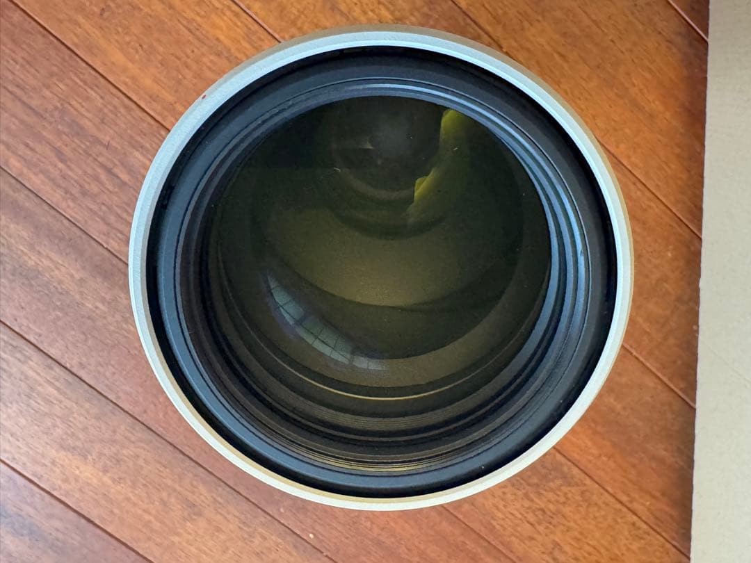 SONY FE 200-600mm ＋ Leofoto レンズフット SF01