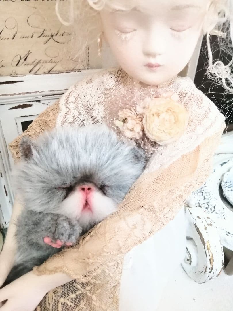 おねむちゃん♡エキゾチックベビー♡子猫♡アートドール♡ぬいぐるみ♡