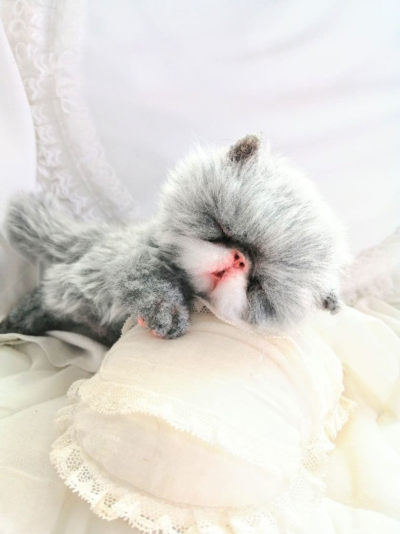 おねむちゃん♡エキゾチックベビー♡子猫♡アートドール♡ぬいぐるみ♡