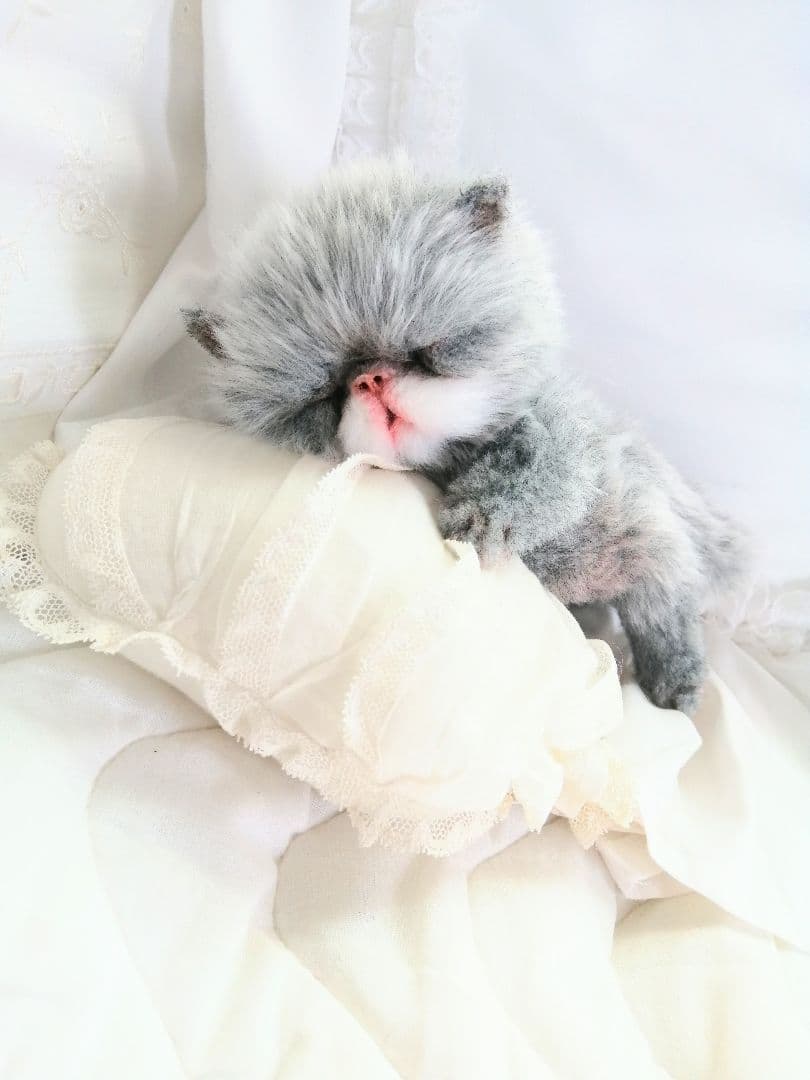 おねむちゃん♡エキゾチックベビー♡子猫♡アートドール♡ぬいぐるみ♡