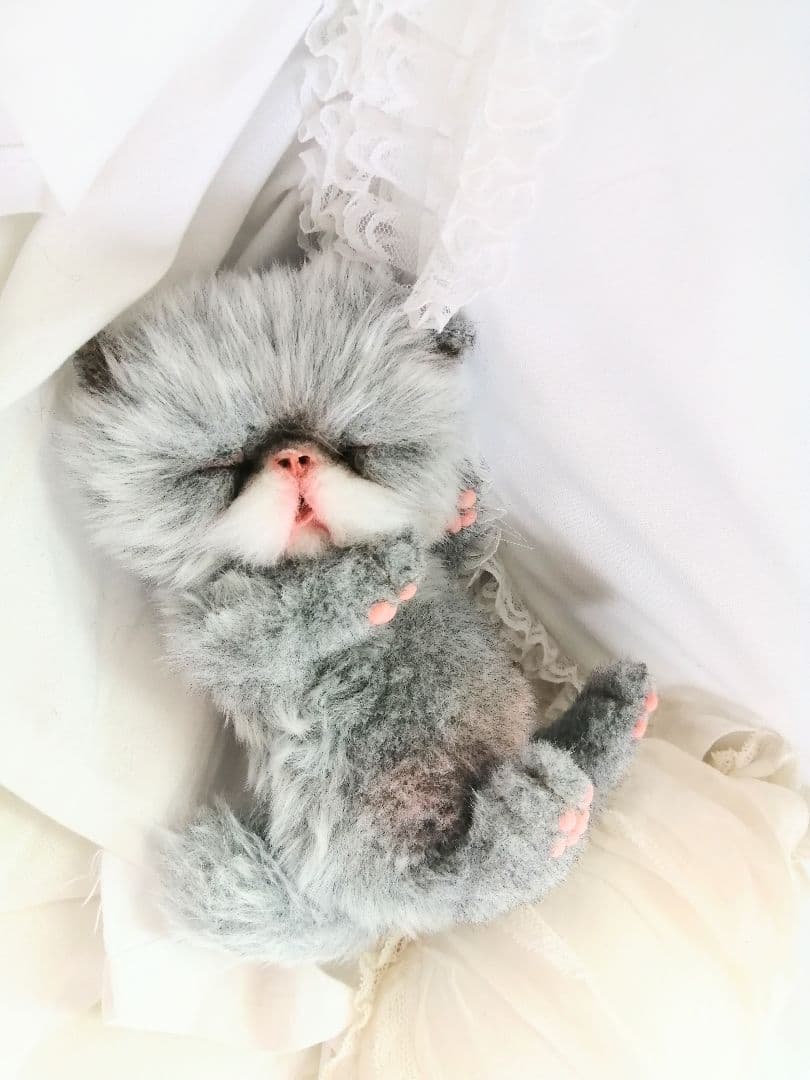 おねむちゃん♡エキゾチックベビー♡子猫♡アートドール♡ぬいぐるみ♡