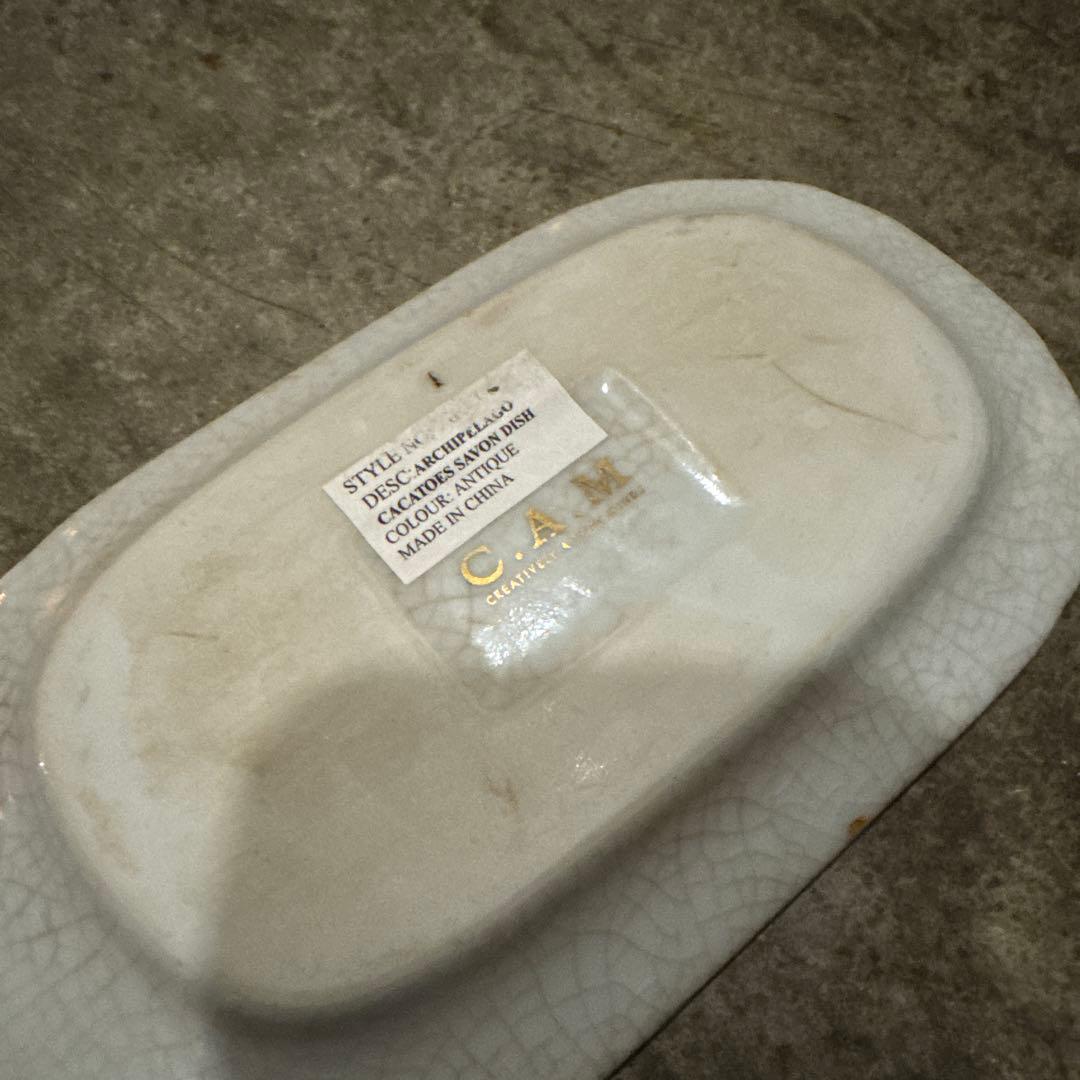 オウム　鳥　プレート