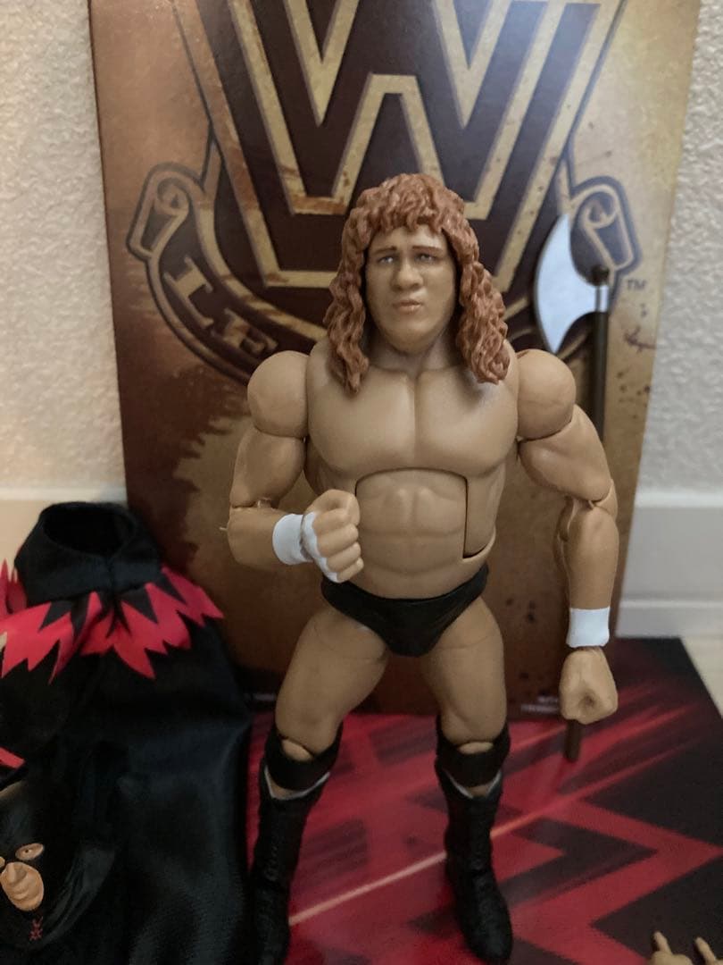 WWE Eliteシリーズ　テリーゴディ　フィギュア