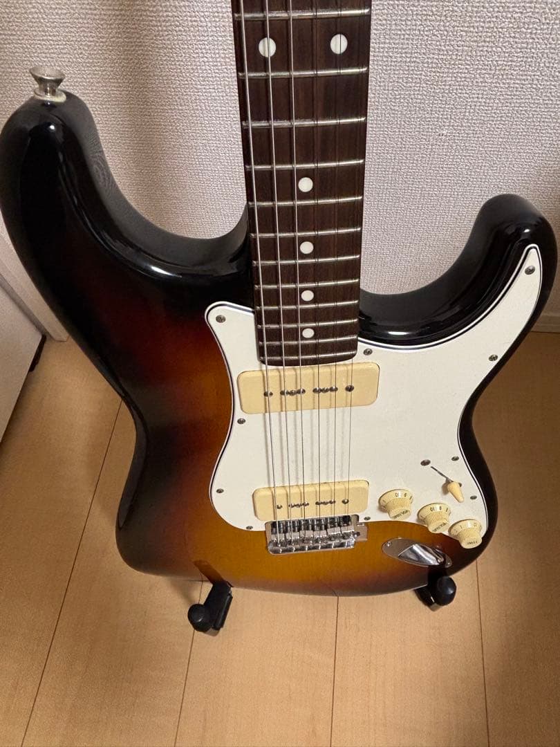 フジゲン　fujigen（FGN） SNST101【限定生産品】