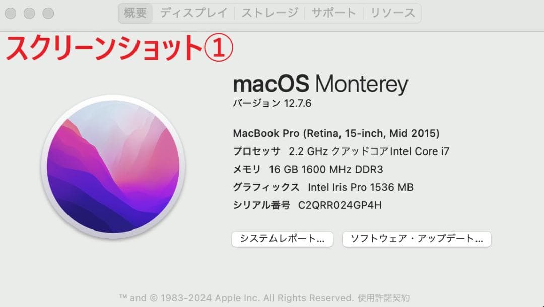 MacBook Pro (15-inch, Mid 2015) 【わけあり品】