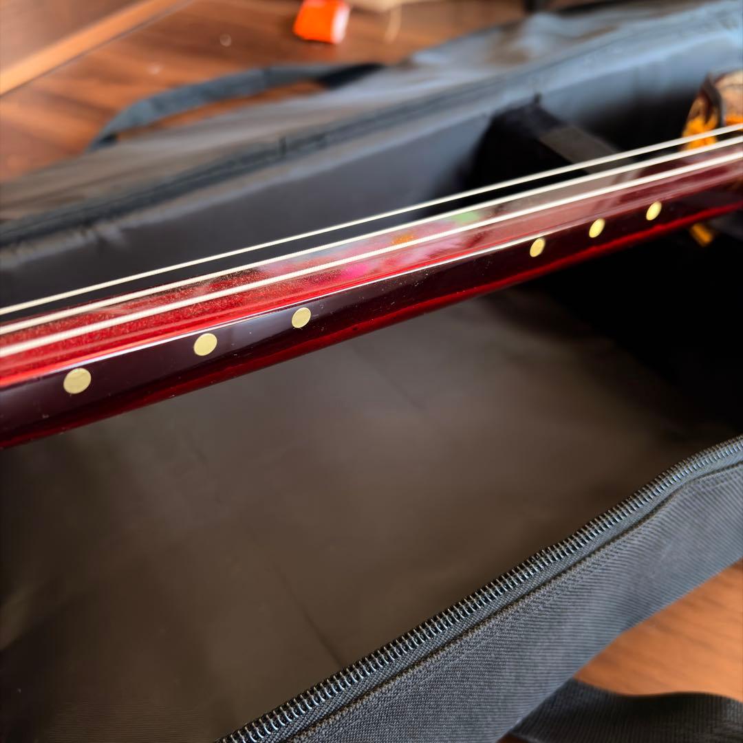 【美品】沖縄三線 本蛇皮 初心者セット ケース・教本付 【すぐ弾ける】