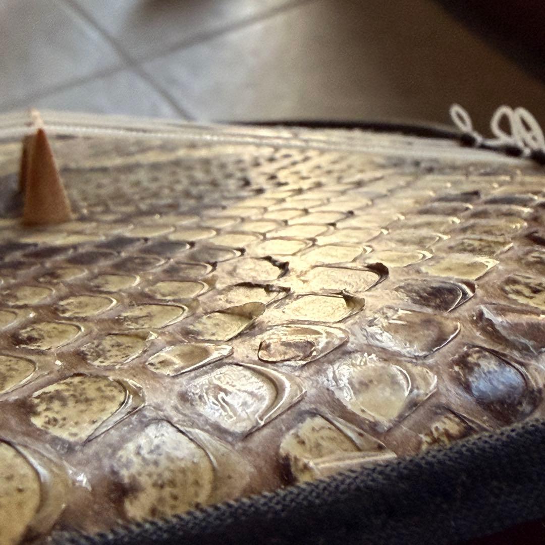 【美品】沖縄三線 本蛇皮 初心者セット ケース・教本付 【すぐ弾ける】