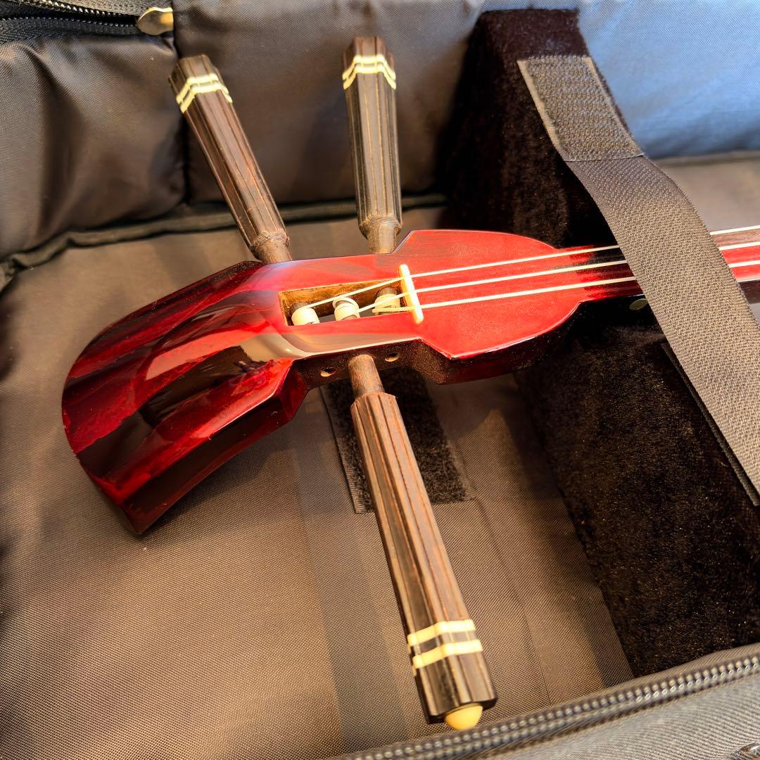 【美品】沖縄三線 本蛇皮 初心者セット ケース・教本付 【すぐ弾ける】