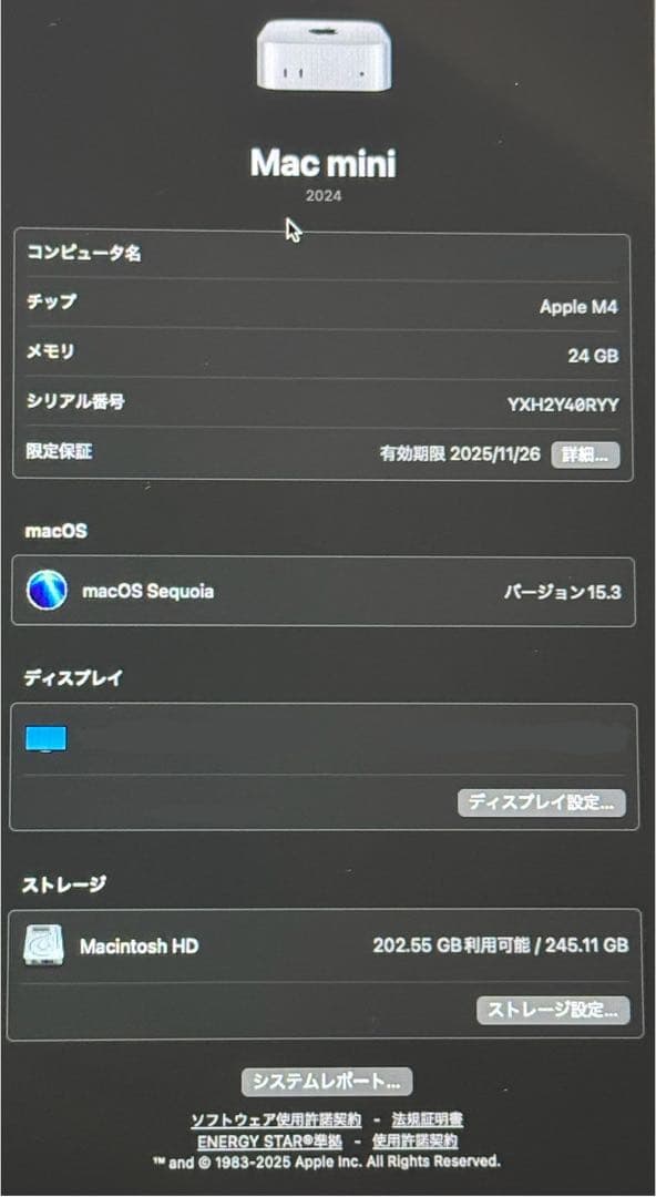 Macデスクトップ Apple Mac mini 2024 M4 CTO 24GB 256GB