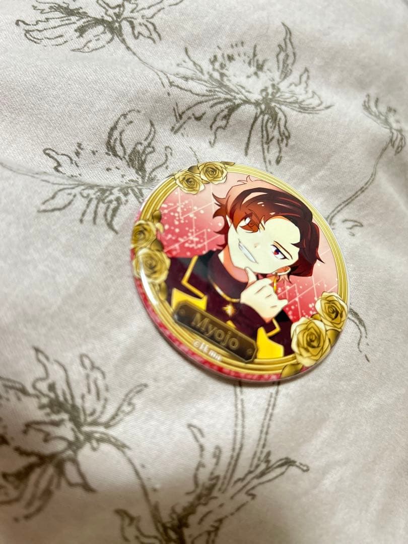 【まとめ売り】リモートホスト 明星 缶バッジ 個別売り可