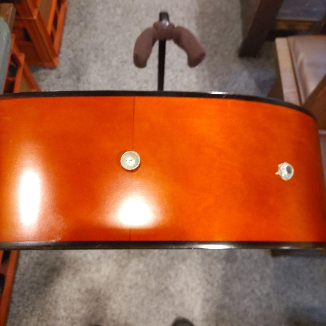 ジャパンヴィンテージ ariana by ARIA エレアコ FG-12