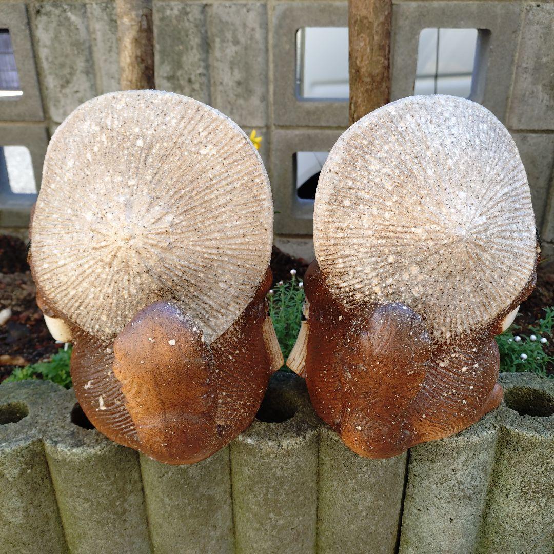 信楽焼　魔除け狸　シーサー狸　(2匹セット)狸　タヌキ　たぬき