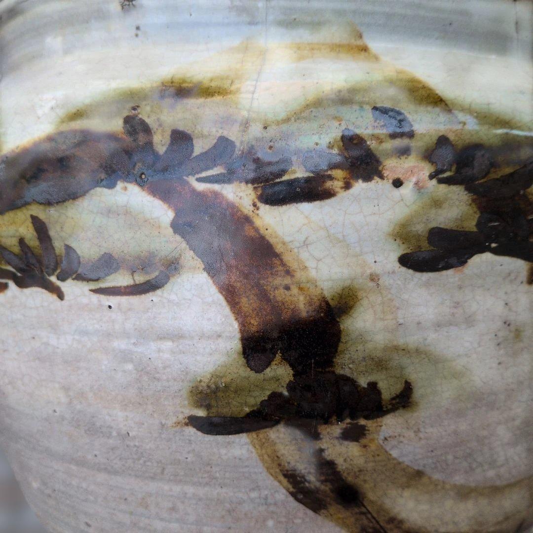 【唐津　(松絵の水甕)】