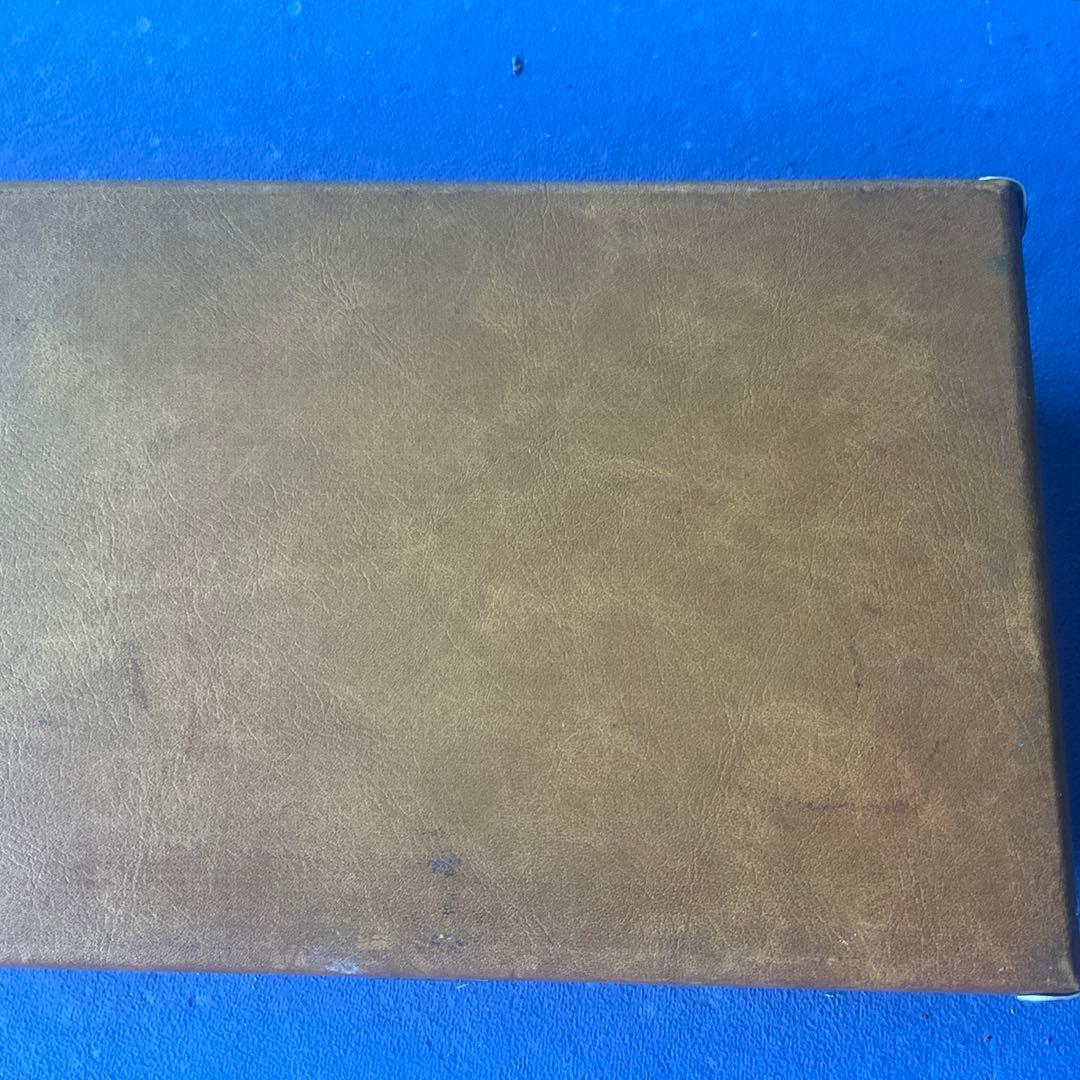 SUZUKI 大正琴 ケース付き スズキ 和楽器 弦楽器 レトロ楽器