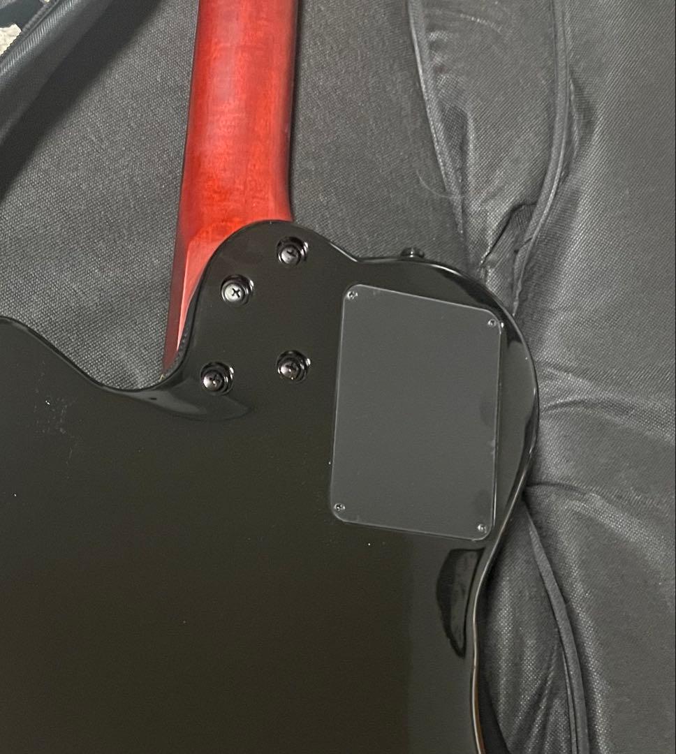 D*W様 【レア美品】ゴダン Godin ACS Slim SA ナイロンギター