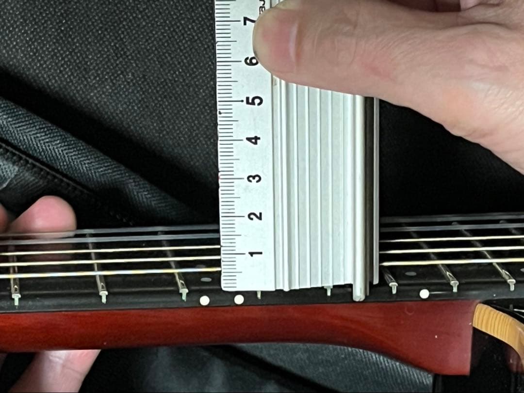 D*W様 【レア美品】ゴダン Godin ACS Slim SA ナイロンギター